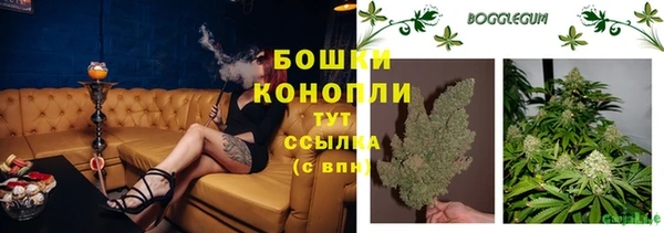 гашик Вязьма