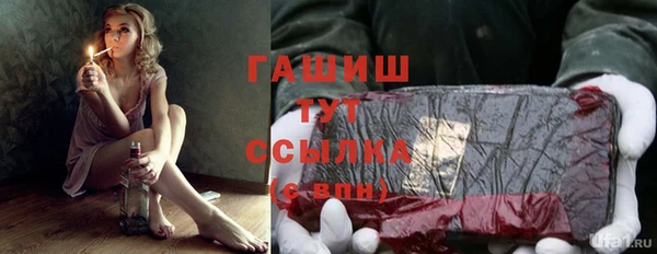 гашик Вязьма