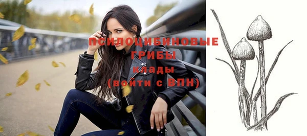 бошки Вяземский