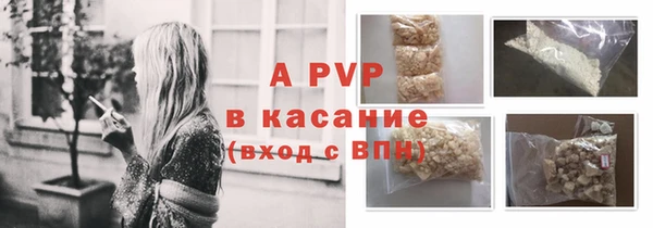 гашик Вязьма