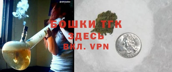 гашик Вязьма
