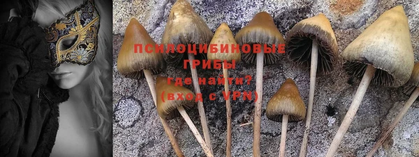 трава Вязники