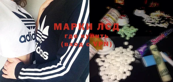 гашик Вязьма