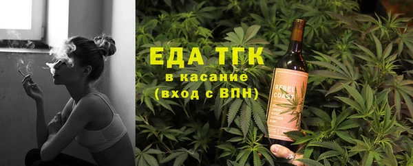 гашик Вязьма