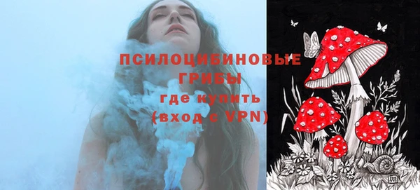 бошки Вяземский
